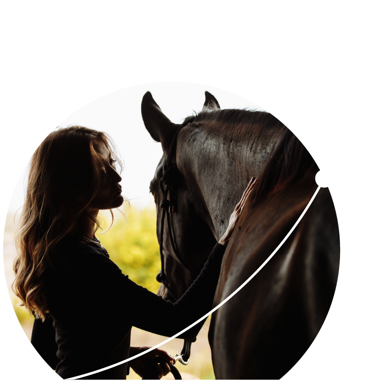 young woman with horse in stable silhouetted with the grass and farm behind her