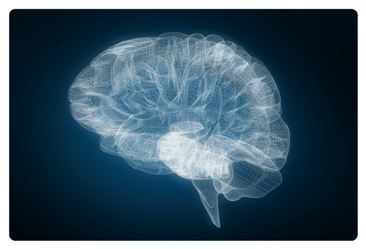 Composite image of 3d image of human brain