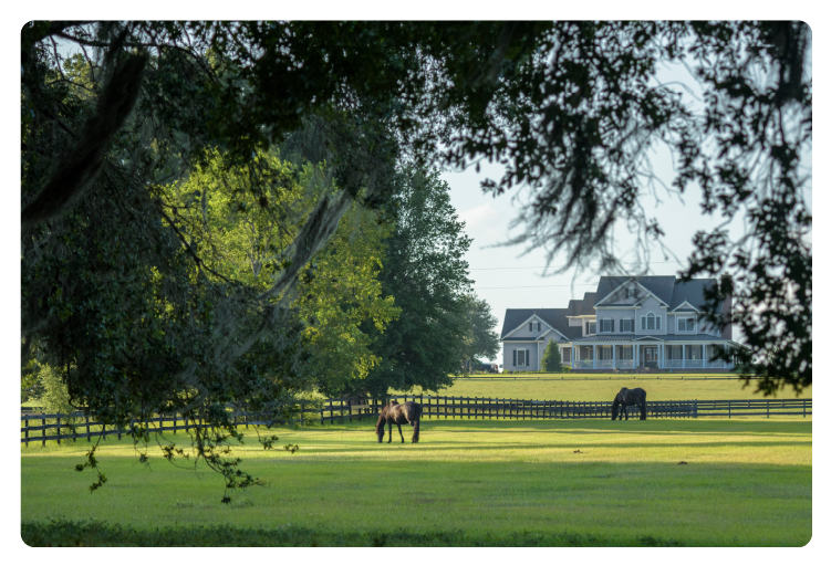 Estate home with horses grazing in pasture